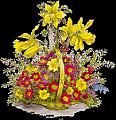 fleurs et nature (119)